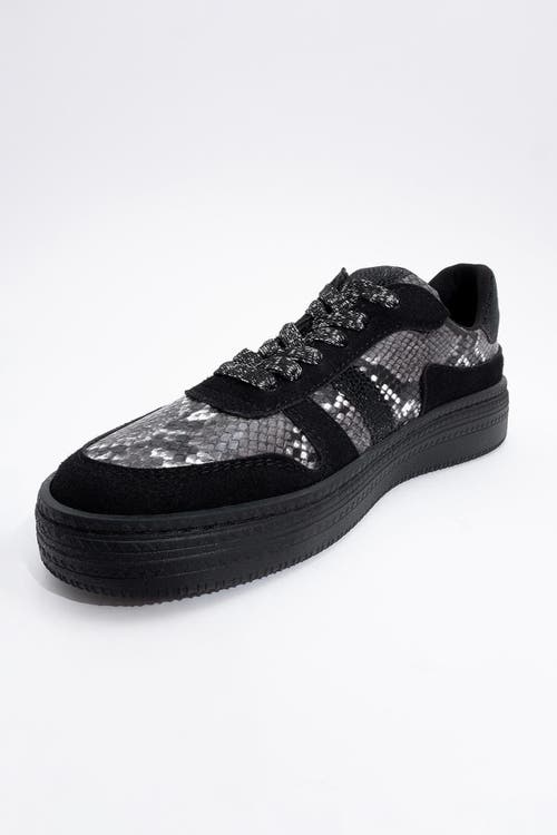 Prologue Shoes Rexie Glitter Sneakers In Multi