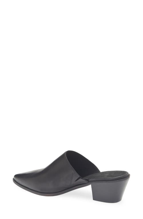 Chocolat Blu Cellia Pointed Toe Mule In Black