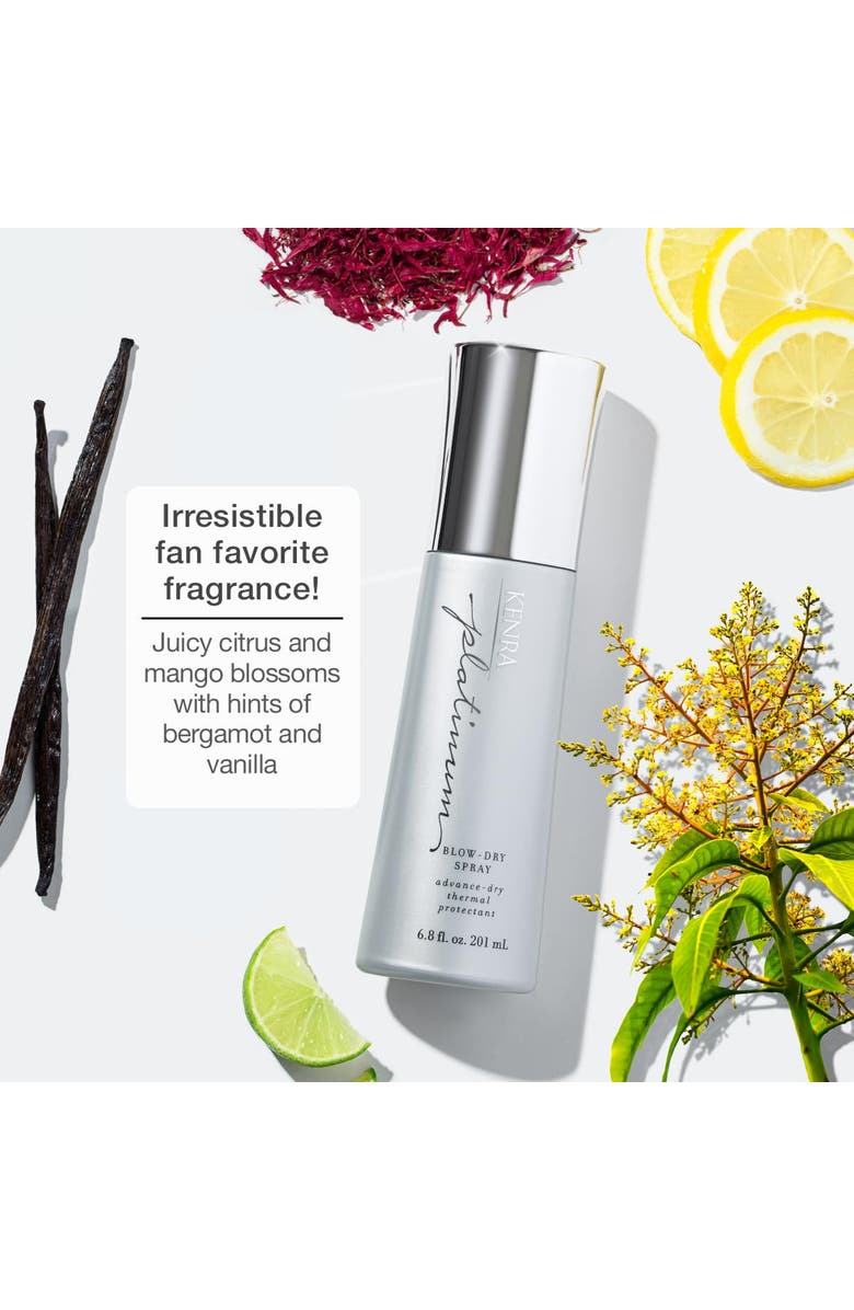 KENRA Platinum Blow-Dry Spray 1.7 oz, Alternate, color, N/A