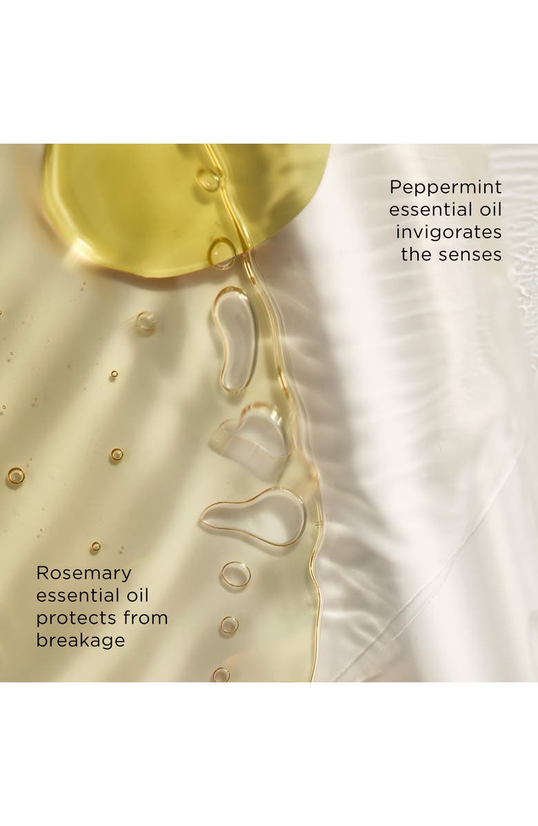 The Art of Shaving Peppermint Beard Wash, Alternate, color,