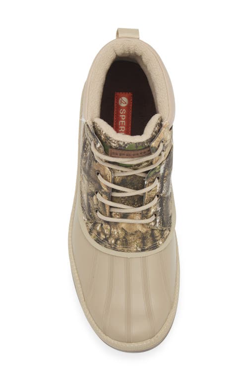Sperry Top-sider® Coldbay Chukka Boot In Green
