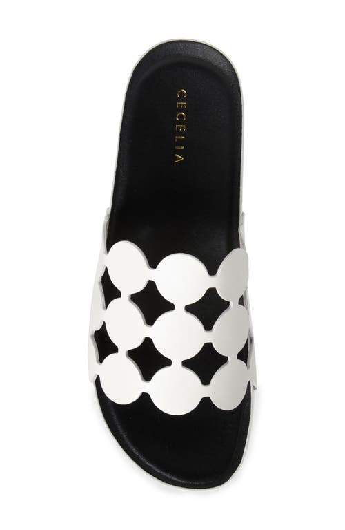 Cecelia New York Emily Slide Sandal In White/black