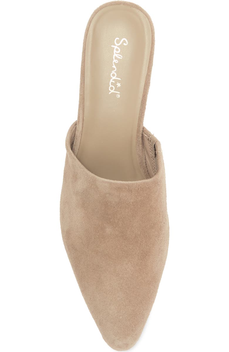 Splendid Lyn Suede Mule Heel, Alternate, color, Ermine