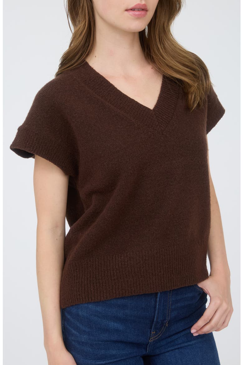 V-Neck Sweater Vest, Alternate, color, BROWN