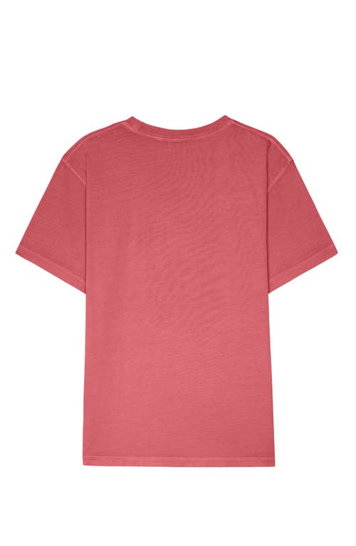 Dalix Mens Lil Alien Midweight Garment Dye Tee