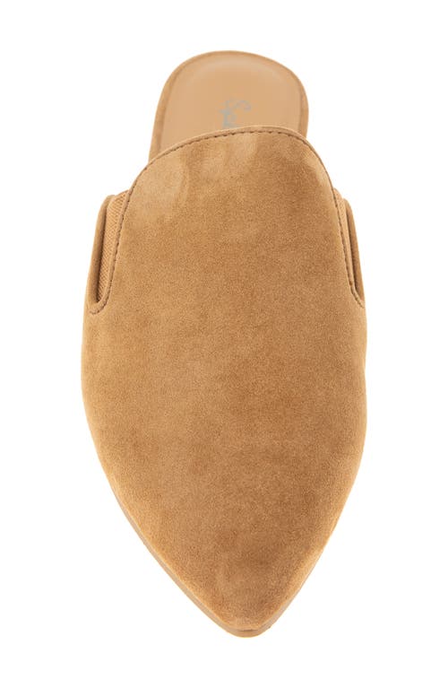 Splendid Liza Pointed Toe Mule In Brown