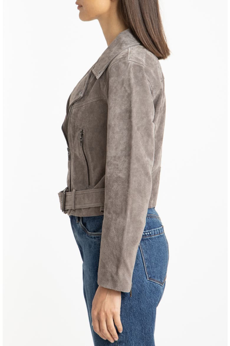 Suede Moto Jacket, Alternate, color, HIGH ALTITUDE