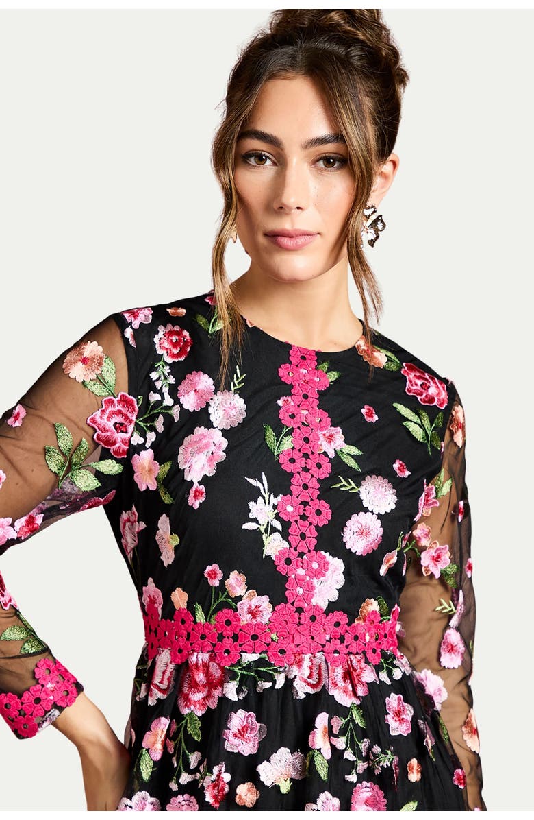 Coast Embroidered Floral Midi Dress, Alternate, color, Black