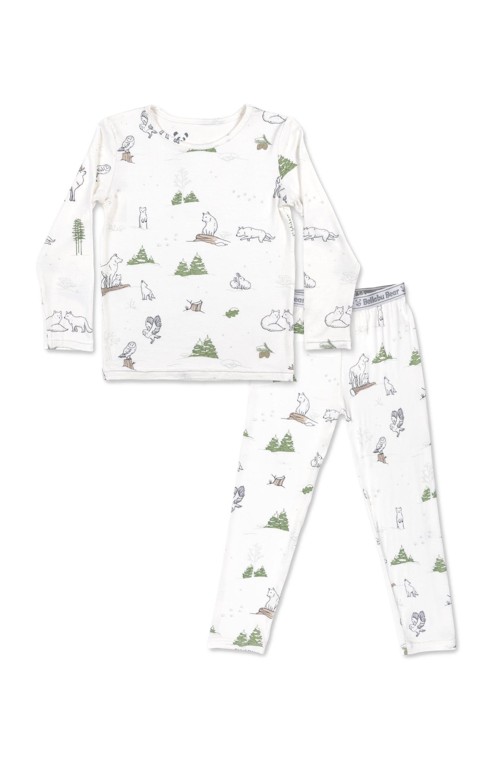 selected Winter Forest Animals