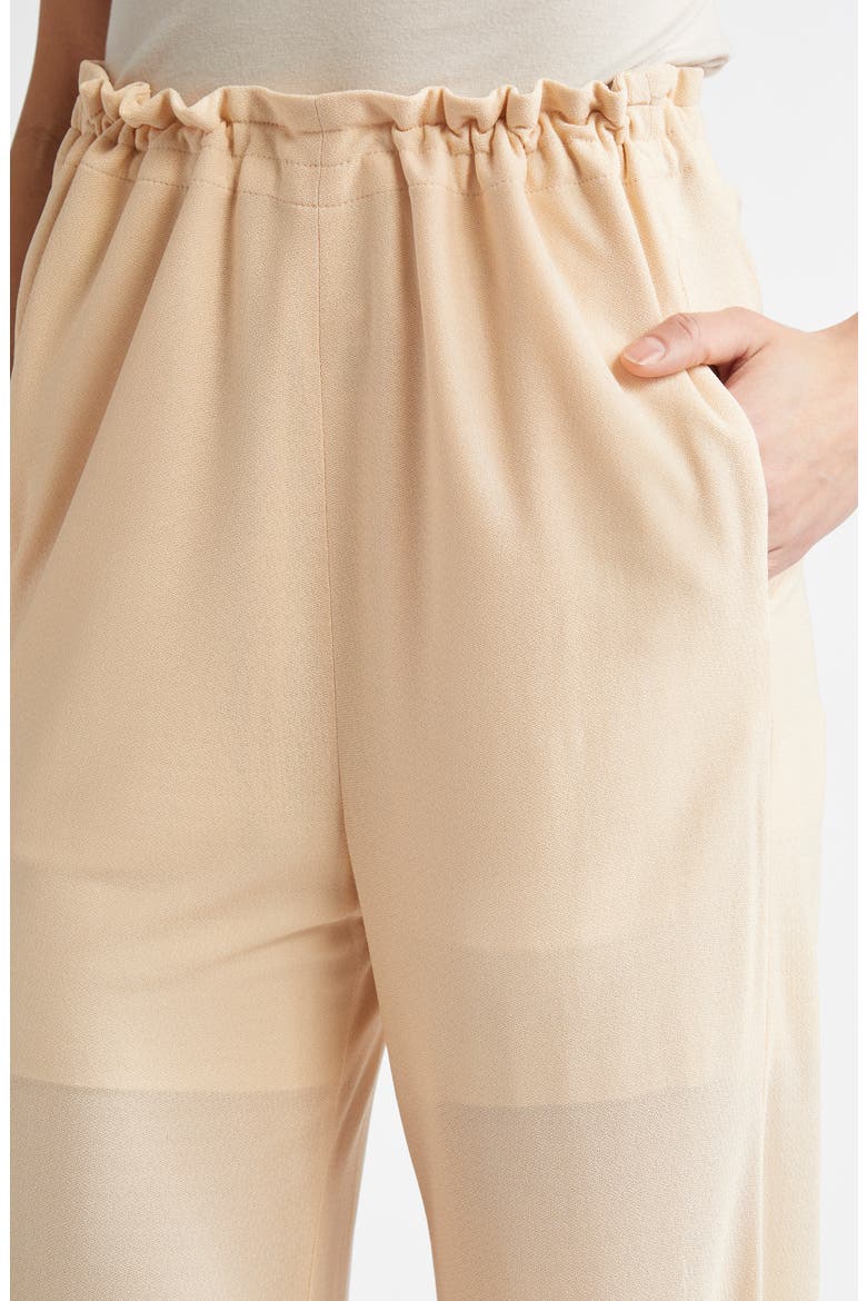 Sheer Double Layer Pants, Alternate, color, BEIGE