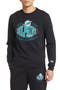 selected Miami Dolphins Black