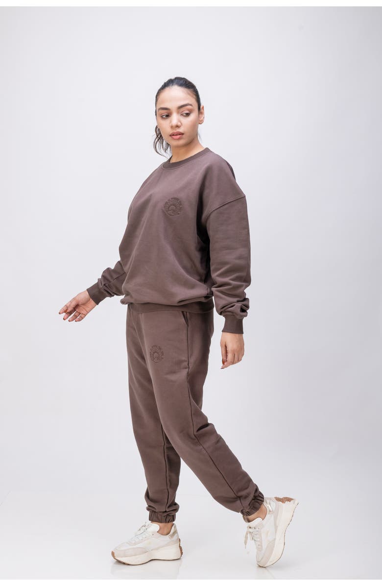 Twill Active Organic Cotton Oversized Crewneck Wellness Sweatshirt, Alternate, color, Chocolate Brown