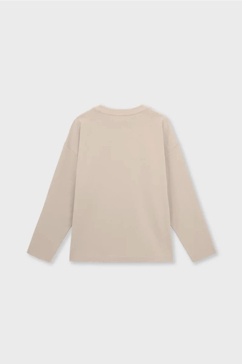 Relaxed Long Sleeve T-Shirt, Alternate, color, Stone