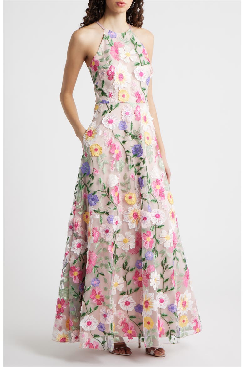 Embroidered Sleeveless Gown, Main, color, BLUSH MULTI