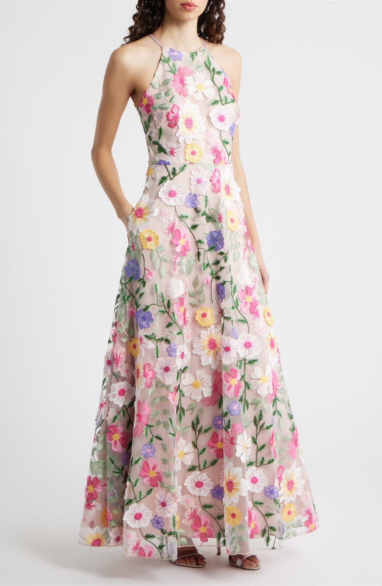 Eliza J Embroidered Sleeveless Gown, Main, color, Blush Multi