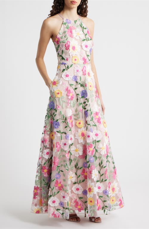 Eliza J Embroidered Sleeveless Gown in Blush Multi at Nordstrom, Size 0