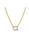 selected Gold Necklace Silver Carabiner