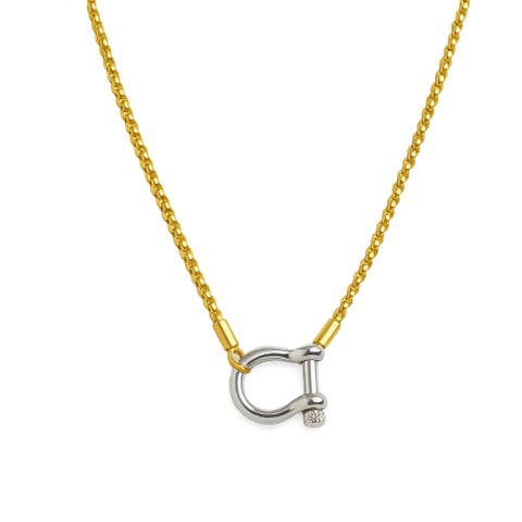 Lucky Lock Carabiner Necklace  Two-Tone Mixed Metal Horseshoe Pendant Chain