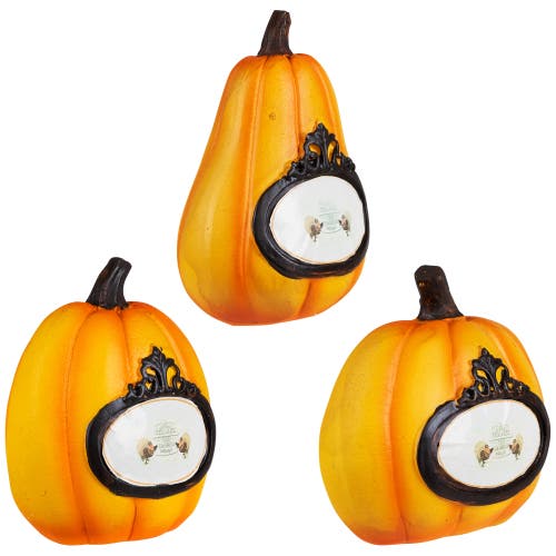 Northlight "thanks, Today, Tomorrow, Always" Fall Harvest Pumpkin Decorations In Yellow