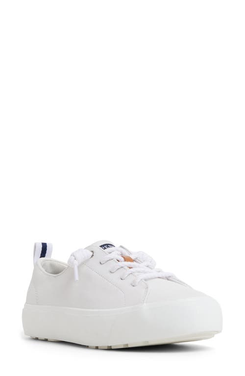 Sperry Top-sider® Cove Lace-to-toe Sneaker In White