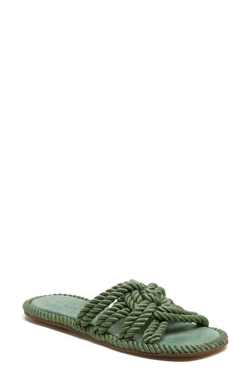 Kelsi Dagger Brooklyn Beachy Slide Sandal in Moss  product