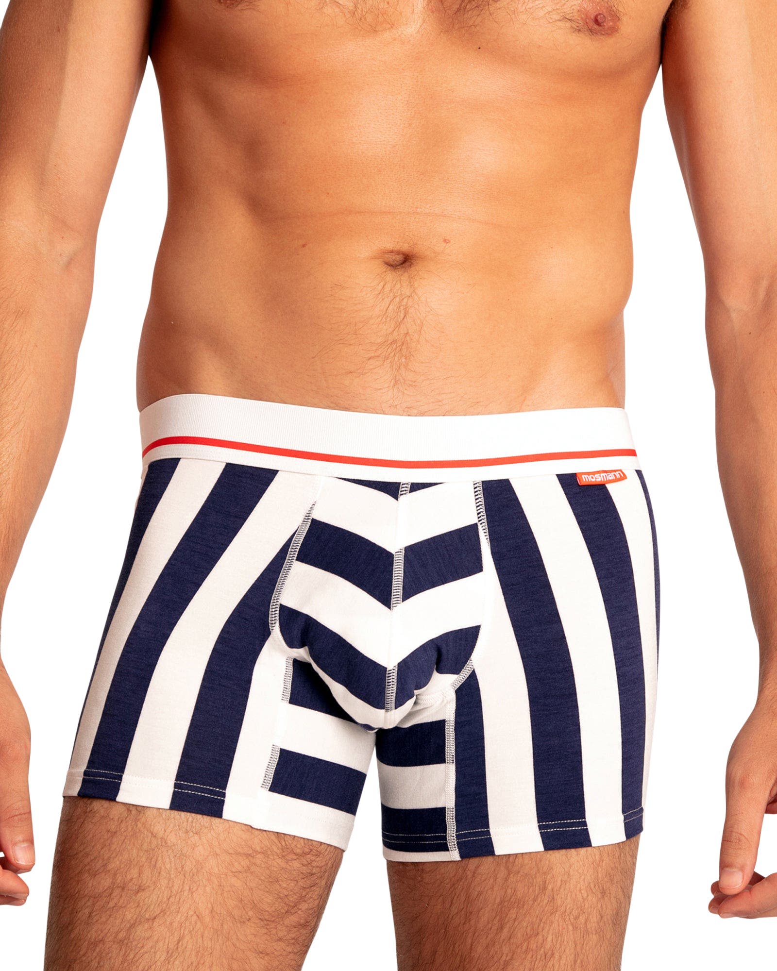 Navy Stripes