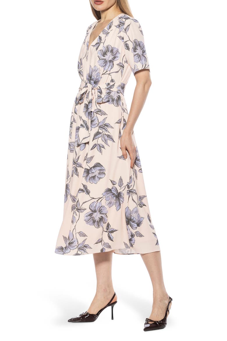 Larisa Fit & Flare Dress, Alternate, color, BLUE FLORAL