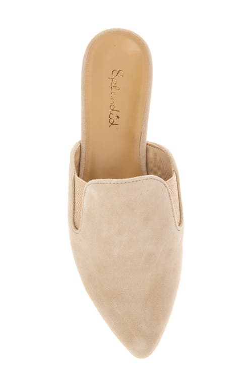 Splendid Liza Pointed Toe Mule In Brown