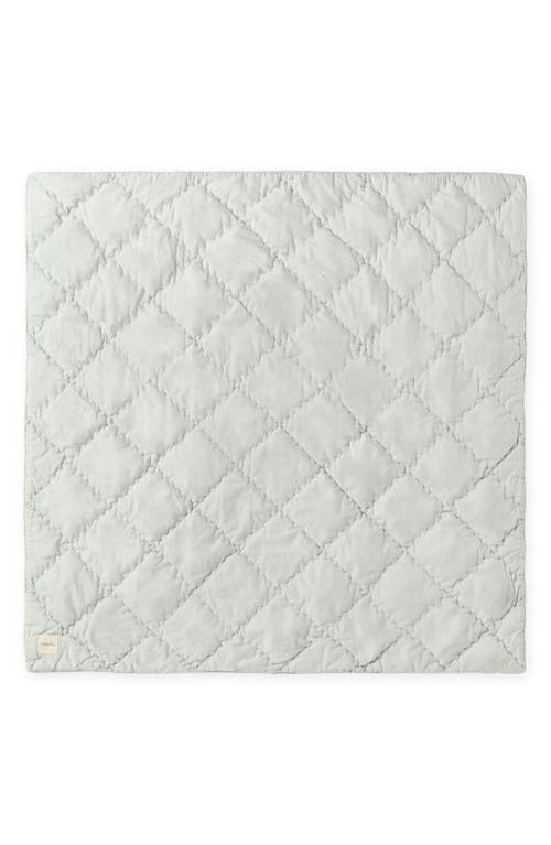 Pehr Pin Dot Organic Cotton Blanket In Gray