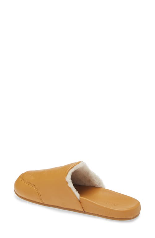 Olukai Konea Genuine Shearling Lined Mule