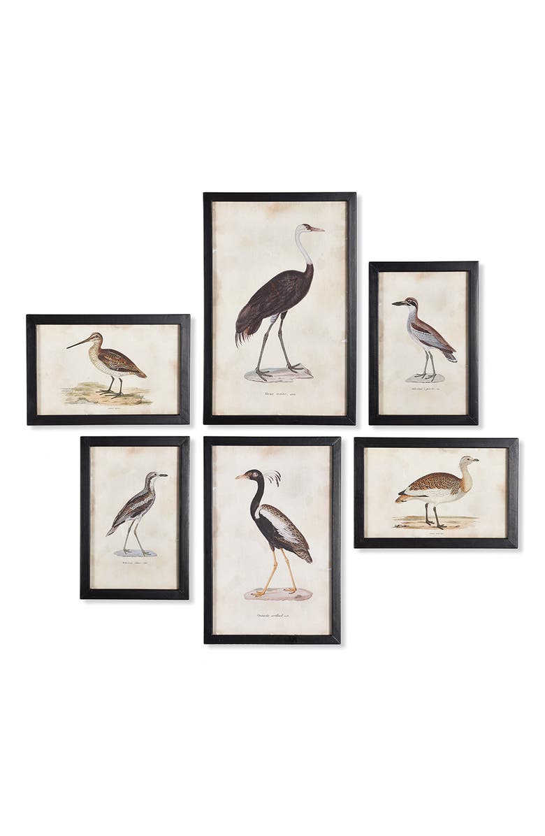 Napa Home & Garden Waterfowl Gallery, Set Of 6, Main, color, Black