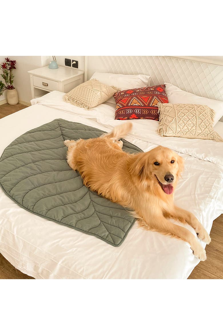 Leaf Shape Pet Blanket, Alternate, color, Elm Green