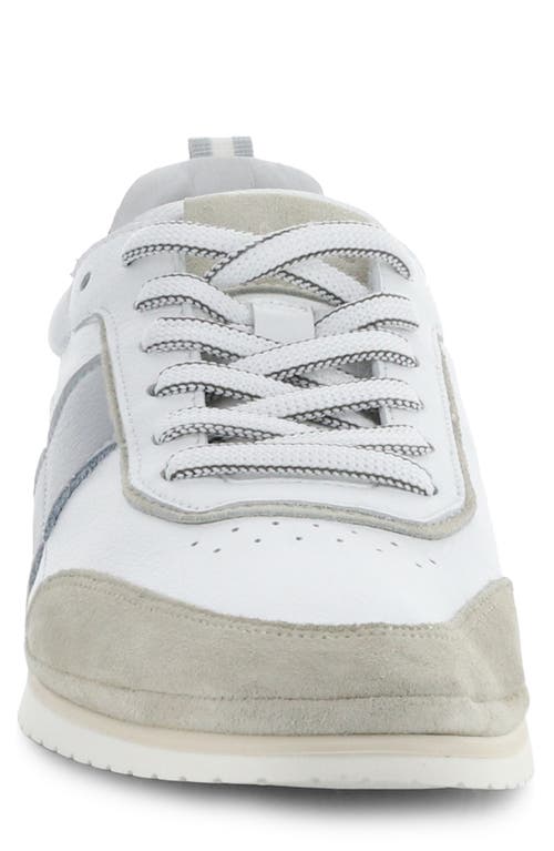 AMBITIOUS AMBITIOUS 11939 LOW TOP SNEAKER