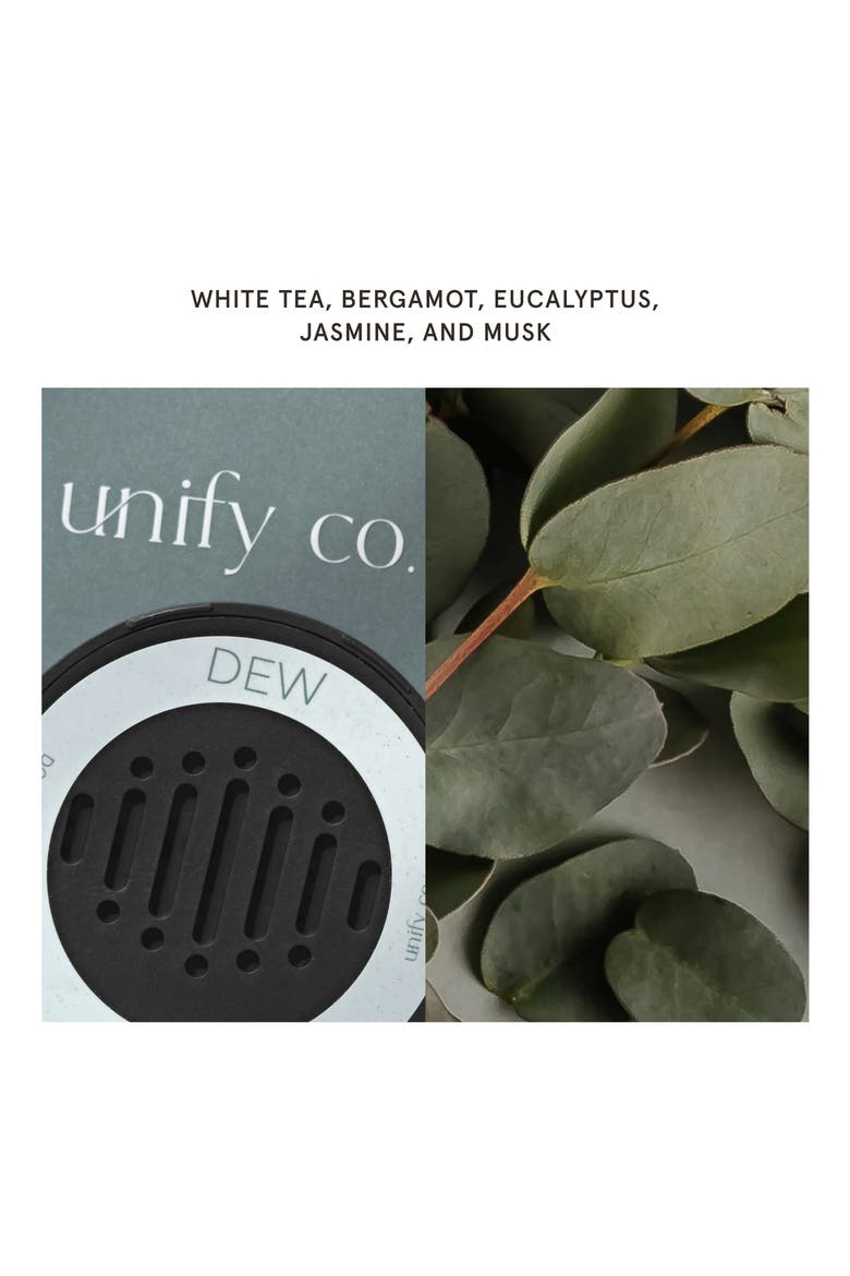 x Unify Salt Car Fragrance Refill Duo, Alternate, color, DEW