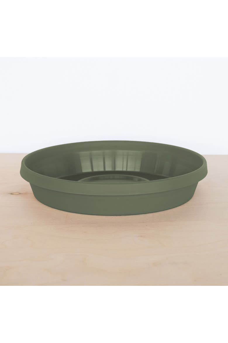 Terra 17 Inch Resin Saucer, Alternate, color, Green