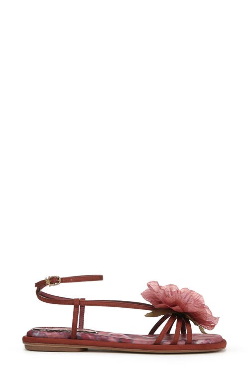 Circus Ny By Sam Edelman Olana Flower Strappy Flat Sandals In Spiced Merlot Multi