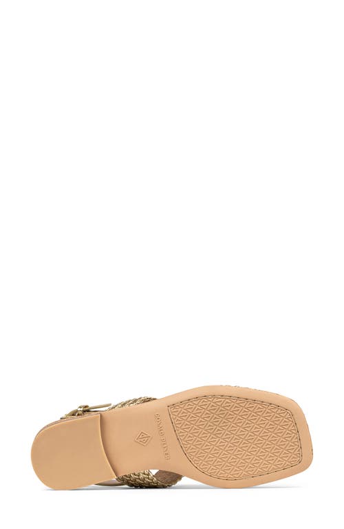 DONALD PLINER DONALD PLINER HECTOR SLINGBACK SANDAL