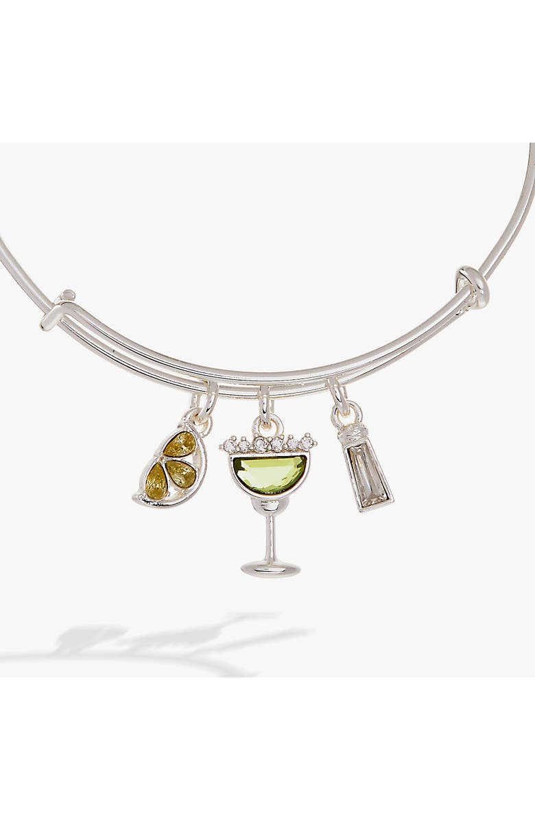 Alex and Ani Margarita Charm Bangle, Alternate, color, Silver