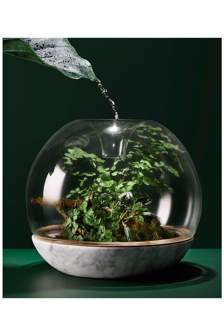 Botanica Biodome 3-Climate Terrarium, Alternate, color, CONCRETE
