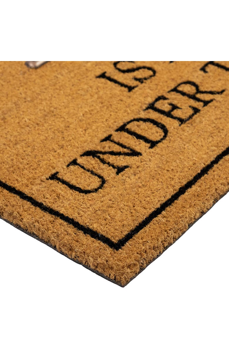 Northlight Key is Not Under the Mat Coir Outdoor Doormat 18" x 30", Alternate, color, Brown