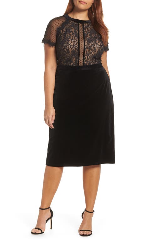 Tadashi Shoji Lace & Velvet Dress In Black