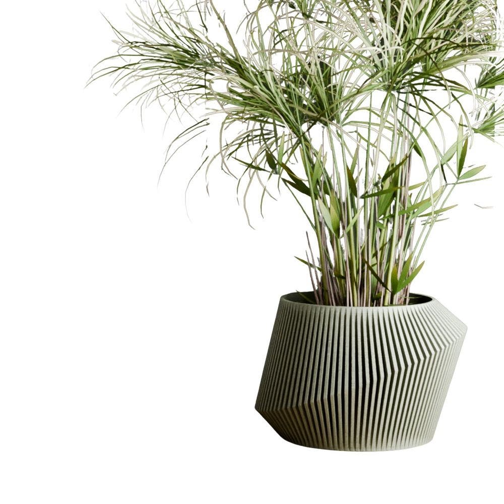 selected Muted Green - 6"