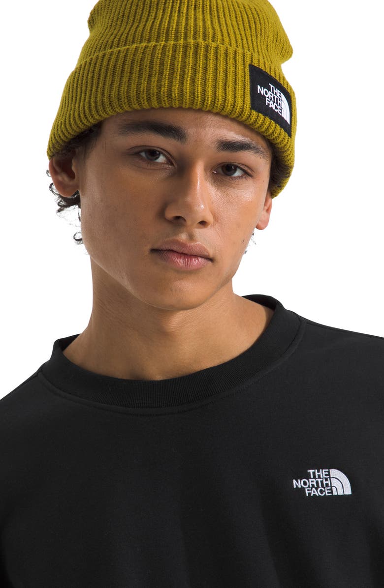 The North Face Evolution Simple Dome Oversize Crewneck Sweatshirt, Alternate, color, 