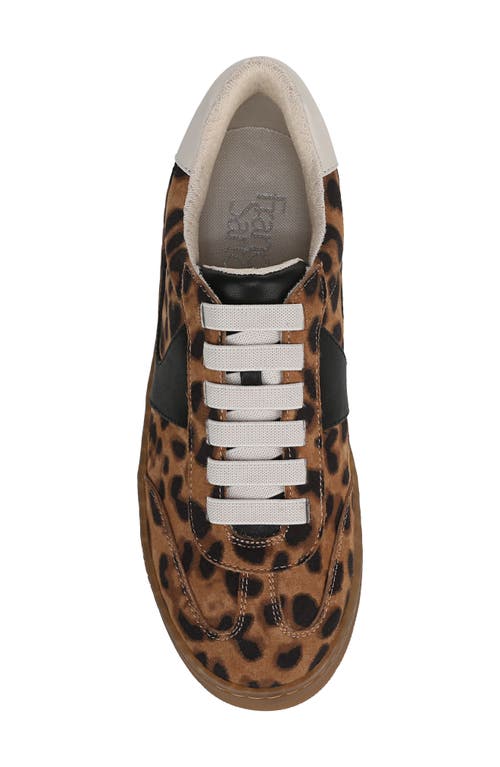 Franco Sarto Ponti Sneaker In Brown