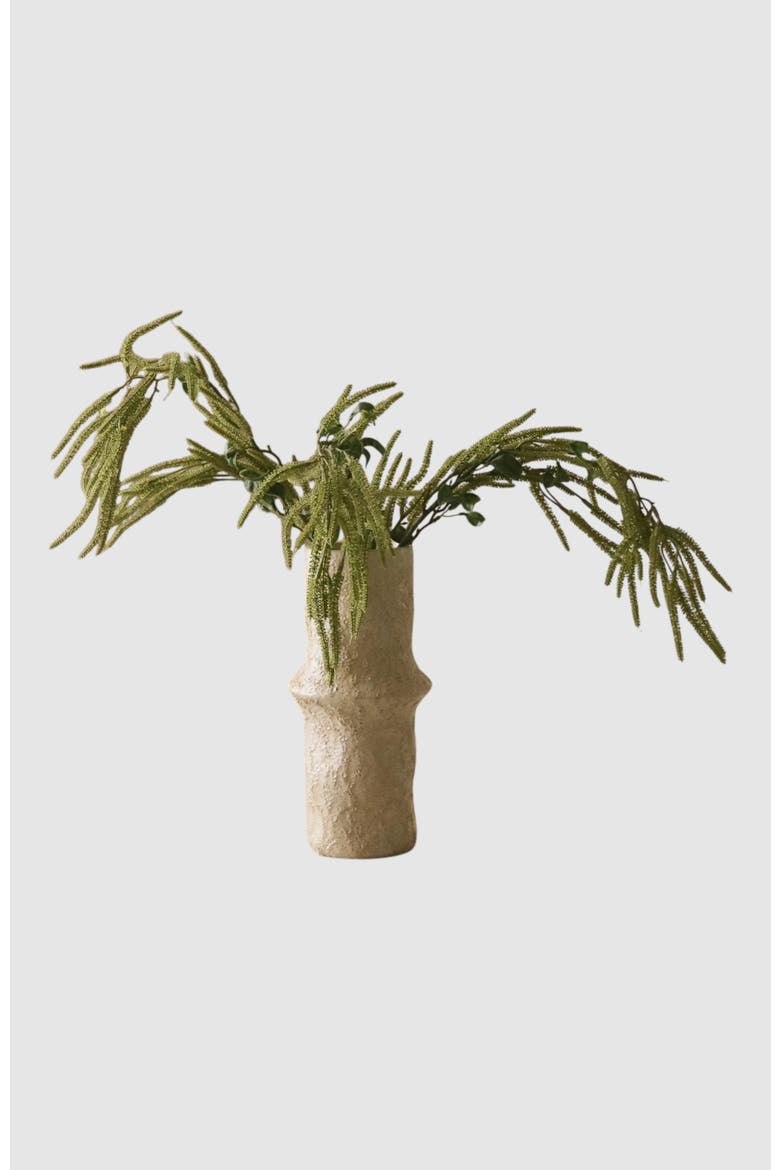 Green Amaranthus Cruentus Flower, Alternate, color, Green