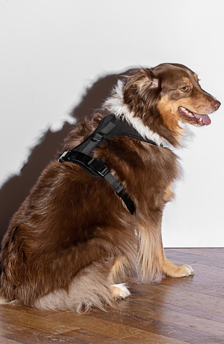 Wild One Dog Harness, Alternate, color,