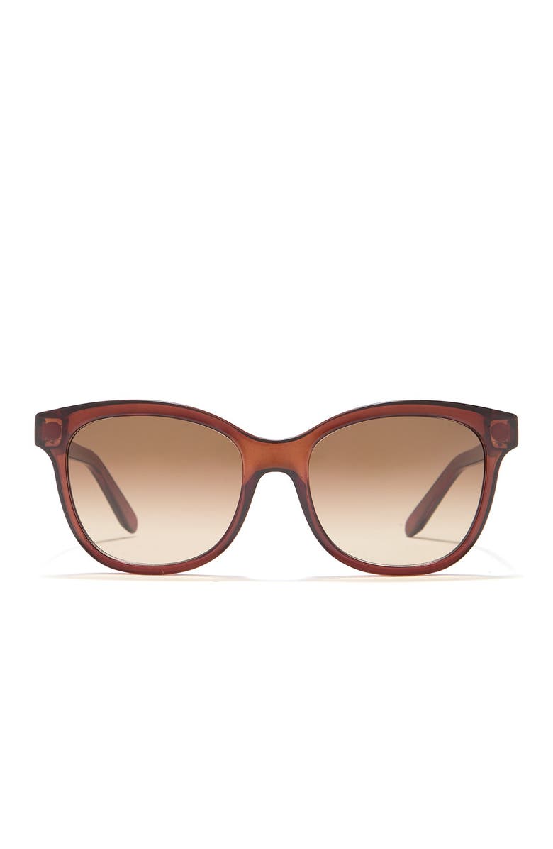 FERRAGAMO 55mm Plastic Cat Eye Sunglasses, Alternate, color, Crystal Brown