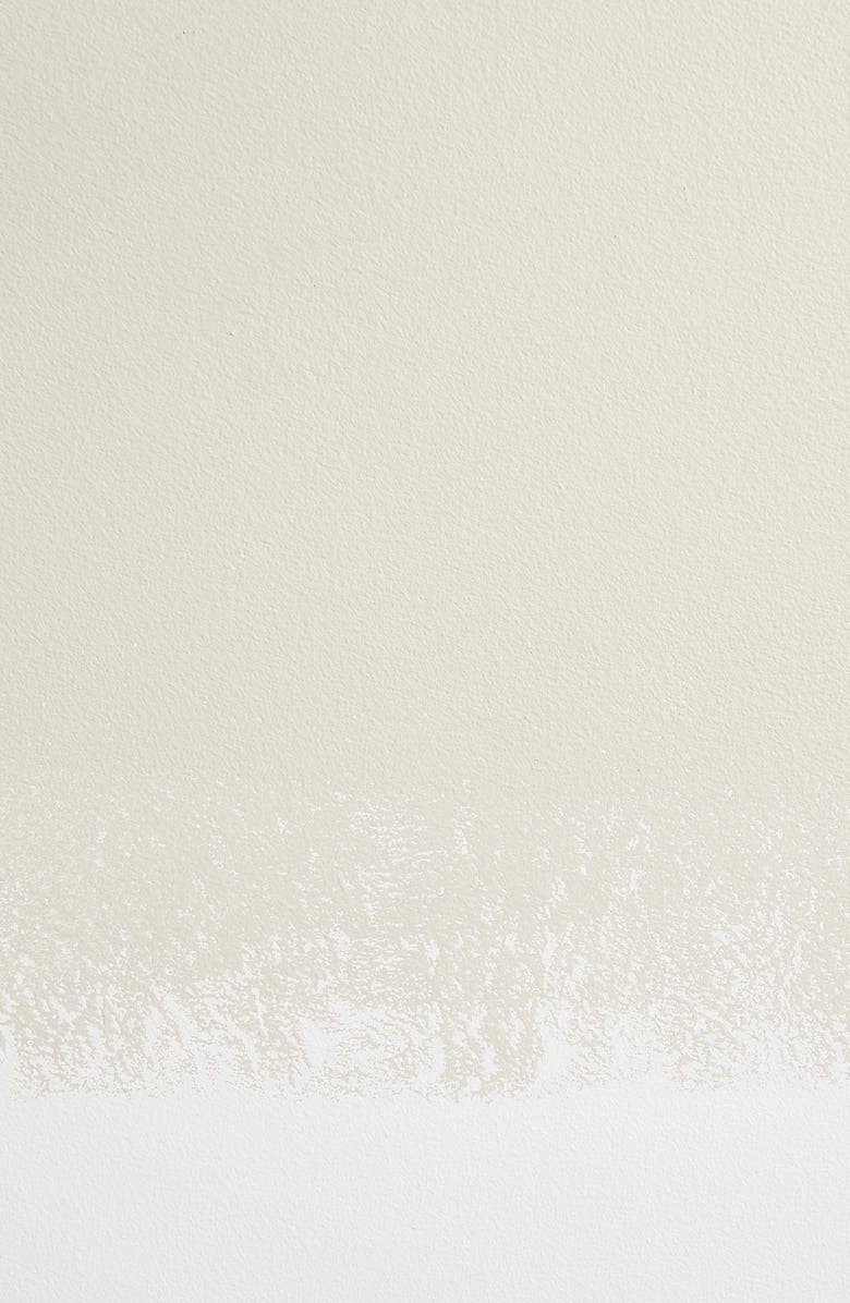 Backdrop Standard Finish Semi Matte Interior Paint, Alternate, color,