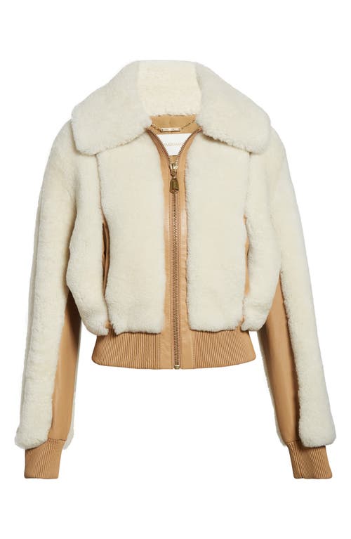 Zimmermann Hypnotic Genuine Shearling Bomber Jacket In White