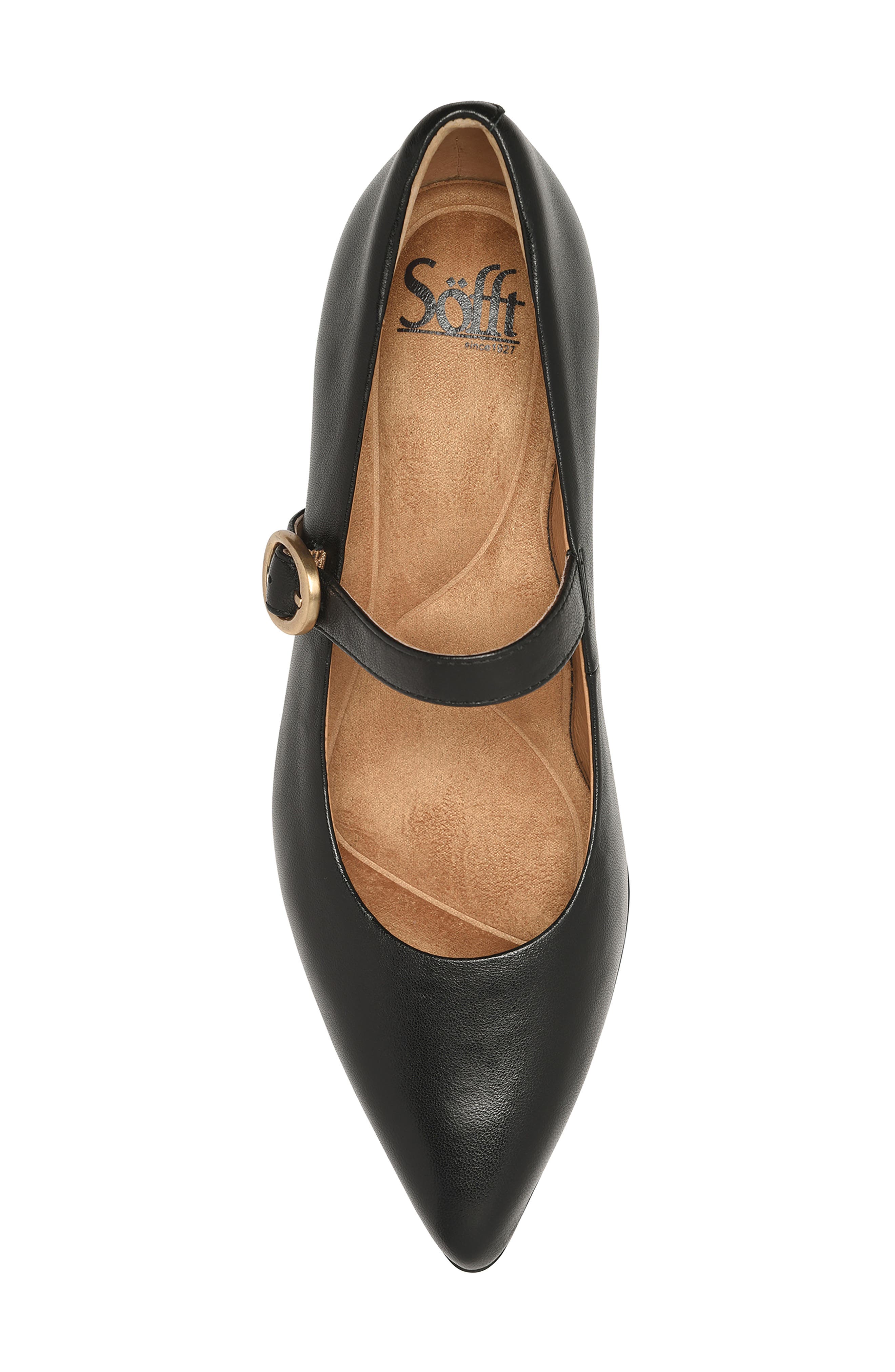 Stacy Pointed Toe Mary Jane Pump, Alternate, color, BLACK
